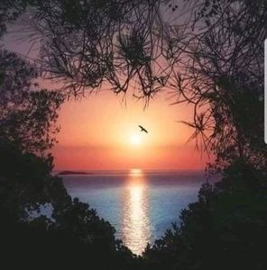 Meet your Posher, Reemoo